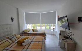 Apartamentos el Ingenio